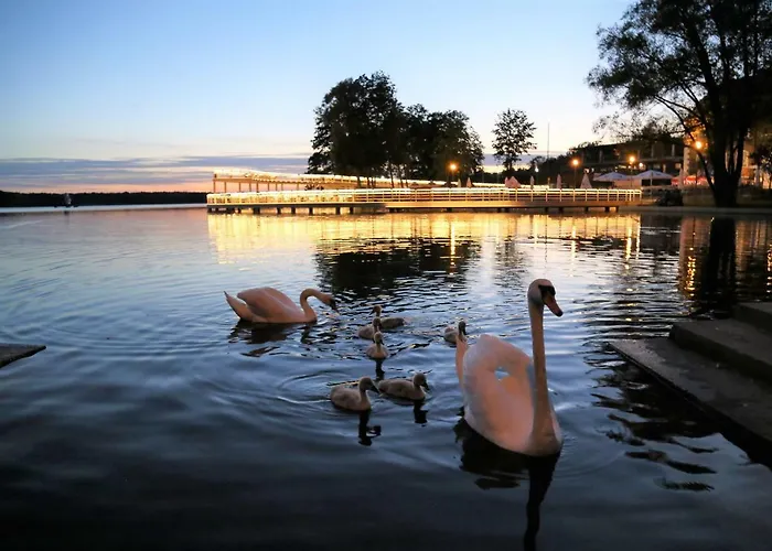 Ptasie Radio Apartment Szczecinek